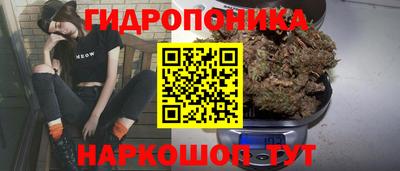 прущие крисы Гай