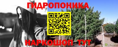 спайс Гатчина