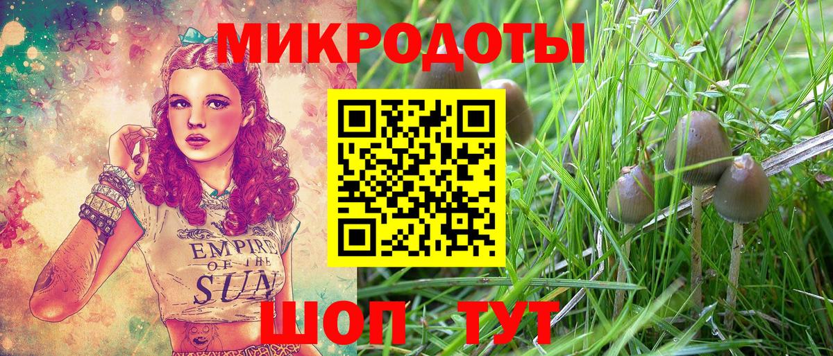 Галлюциногенные грибы Psilocybe  Вход с VPN  Псилоцибиновые грибы Magic Shrooms  Буйнакск 